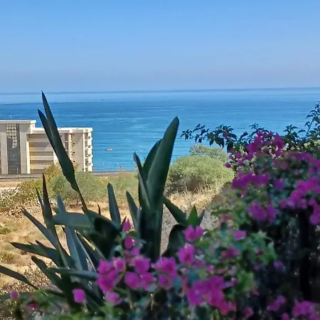 Garden With Sea View In Apartment
